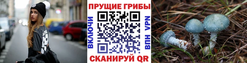 Галлюциногенные грибы MAGIC MUSHROOMS  Купить где  Корсаков 
